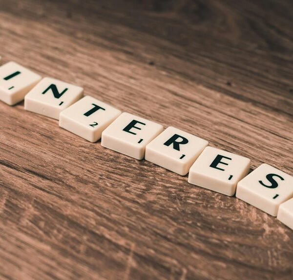 expert online success campaigns