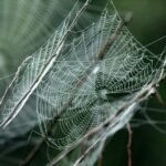 advanced digital network technology